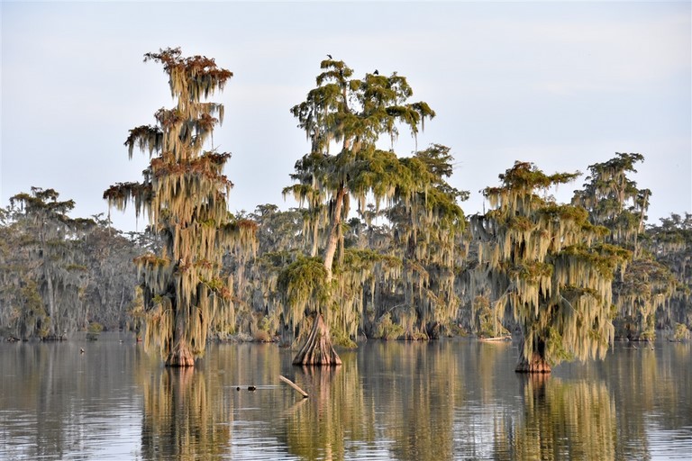 La Louisiane