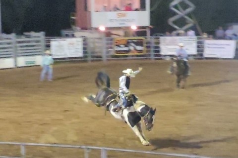 Rodeo