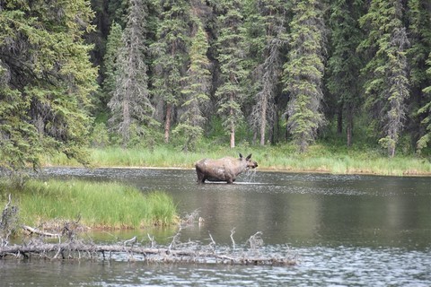 Alaska