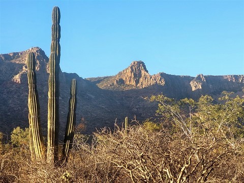 Baja California