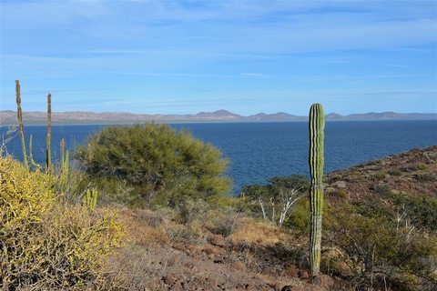 Baja California