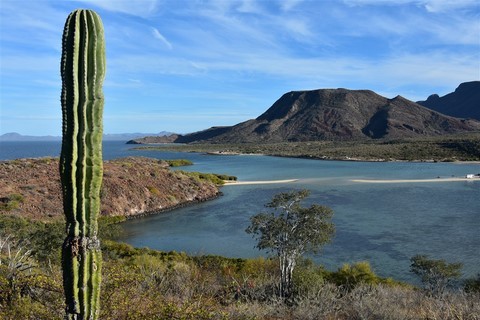 Baja California