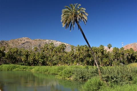 Baja California