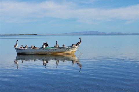 Baja California