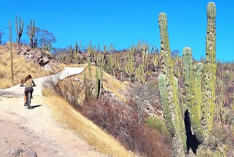 Baja California