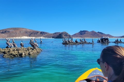 Baja California