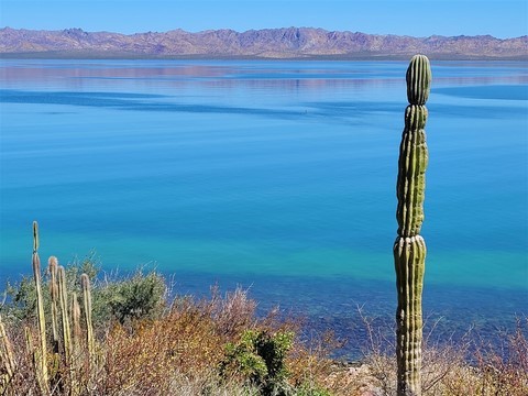 Baja California