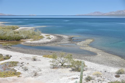 Baja California