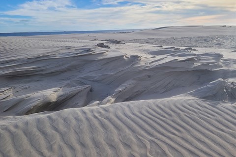 Baja California