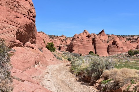 Vermilion Cliffs - Buckskin Gulch