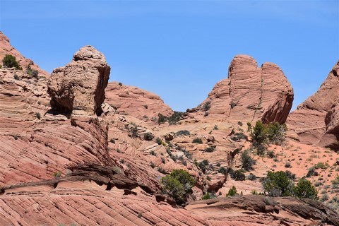 Vermilion Cliffs - Buckskin Gulch