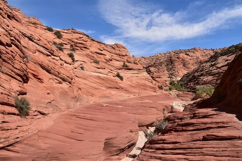 Vermilion Cliffs - Buckskin Gulch