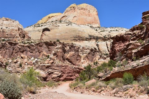 Capitol Reef National Park