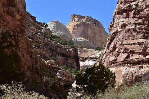 Capitol Reef National Park