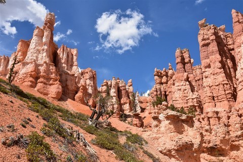 Bryce Canyon National Park