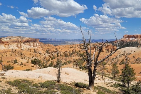 Bryce Canyon National Park