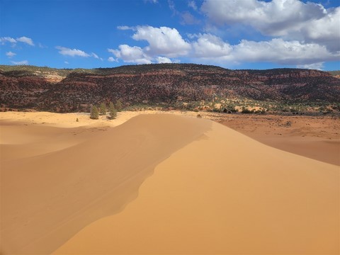 Coral Pink Sand Dunes