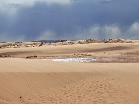 Coral Pink Sand Dunes