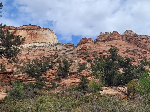 Zion National Park