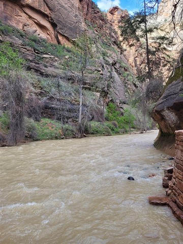 Zion National Park