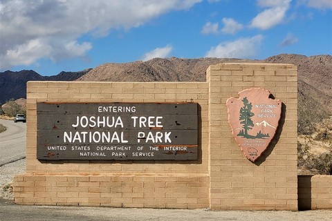 Joshua Tree