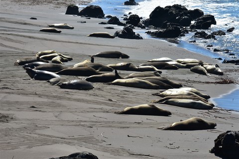 Big Sur