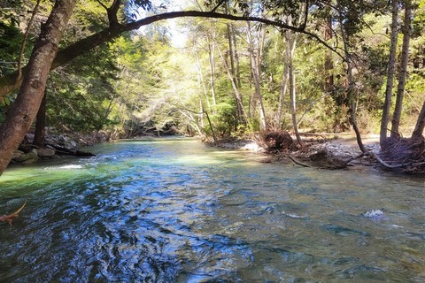 Big Sur