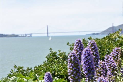 San Francisco