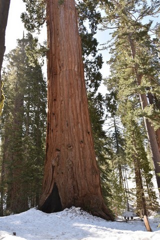 King's Canyon - Sequoia