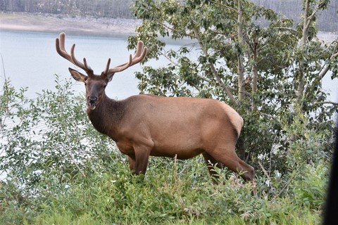 Canada