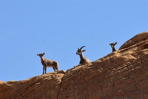 Valley of Fire