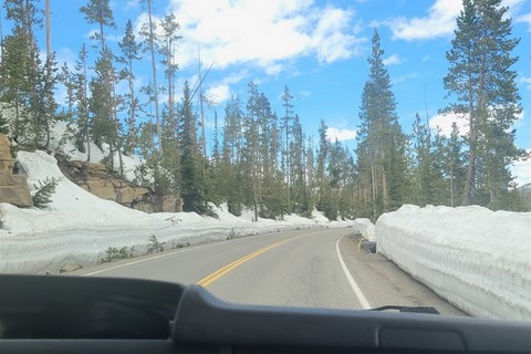 Yellowstone NP