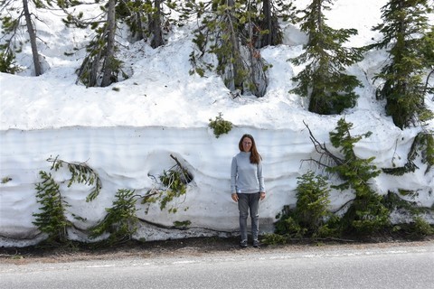 Yellowstone NP