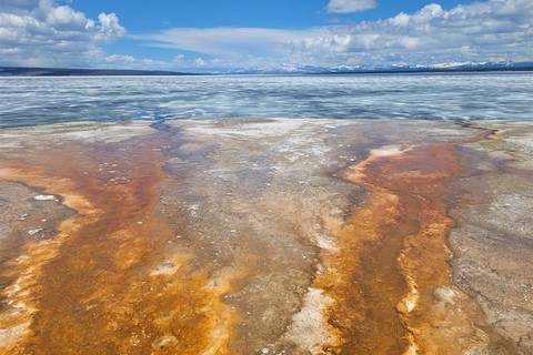 Yellowstone NP