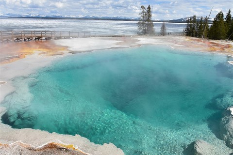 Yellowstone NP