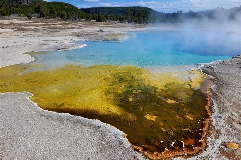 Yellowstone NP