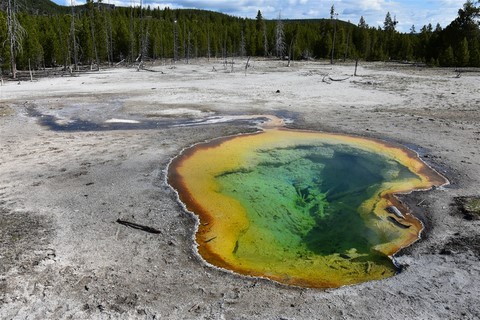 Yellowstone NP