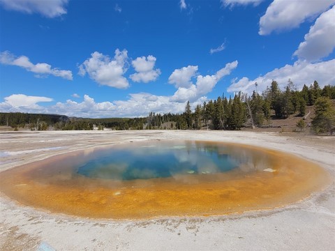 Yellowstone NP