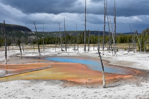 Yellowstone NP