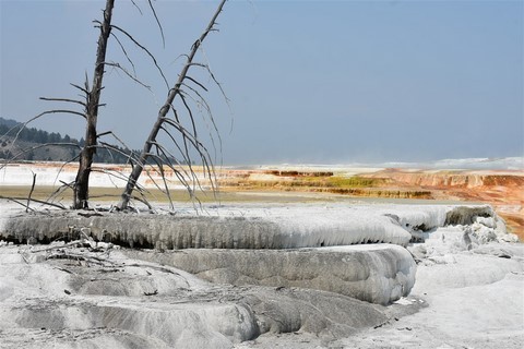 Yellowstone NP