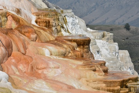 Yellowstone NP