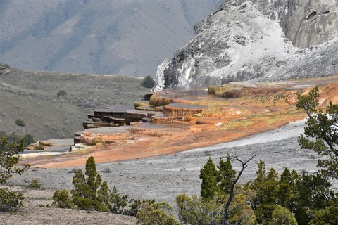 Yellowstone NP