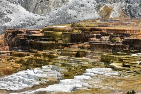 Yellowstone NP