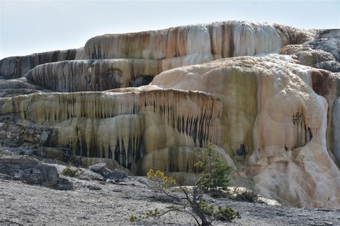 Yellowstone NP