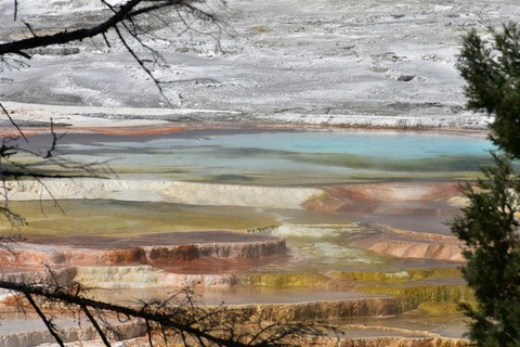 Yellowstone NP