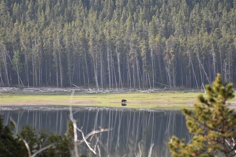 Glacier NP