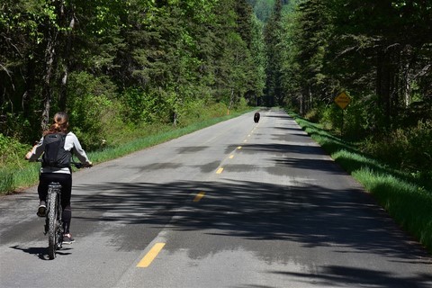 Glacier NP