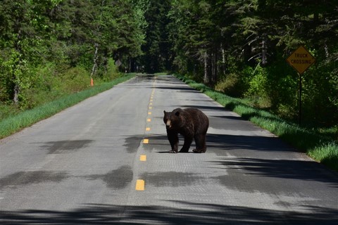 Glacier NP