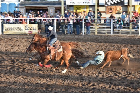 Rodeo Coulee City