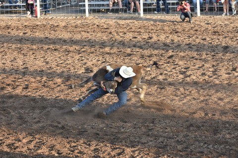 Rodeo Coulee City